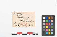 Etikett zu Bronzespiralröhrchen (NHMW-PRAE-025745)